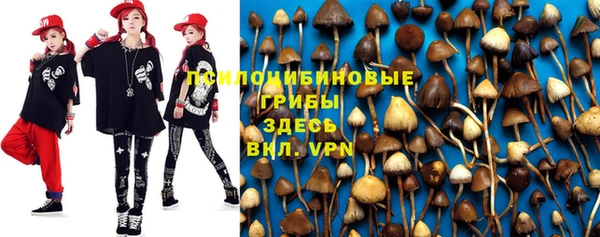 дживик Киреевск