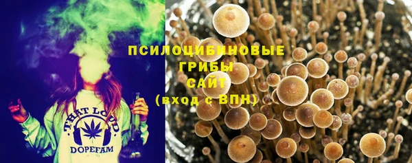 дживик Киреевск