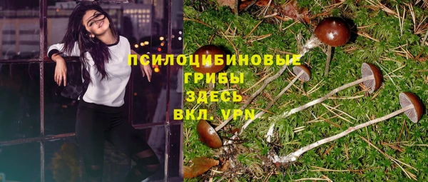 первитин Кинешма
