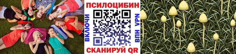 наркота  Димитровград  Галлюциногенные грибы прущие грибы 